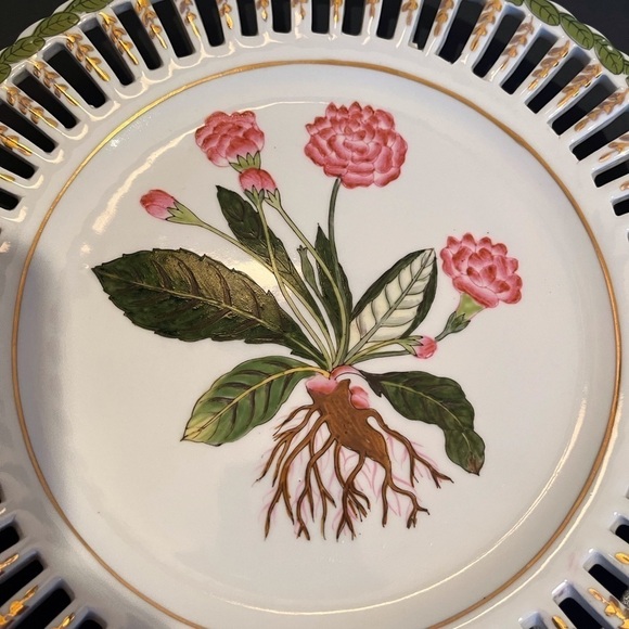 Set of 2 Porcelain Pierced Botanical Plates - Picture 3 of 12